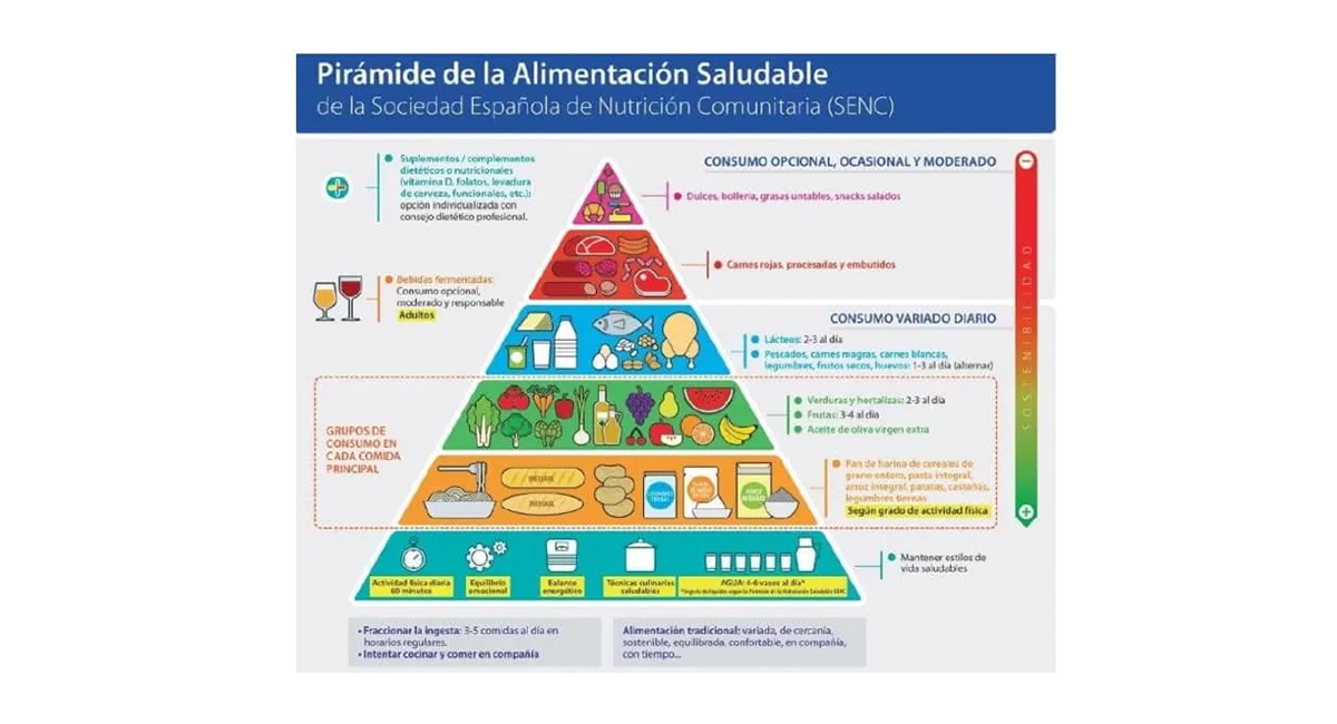 El plato de Harvard para niños