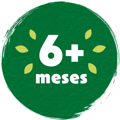 Badge 6+